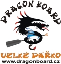 Logo DRAGON BOARD