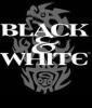 Black & White Company